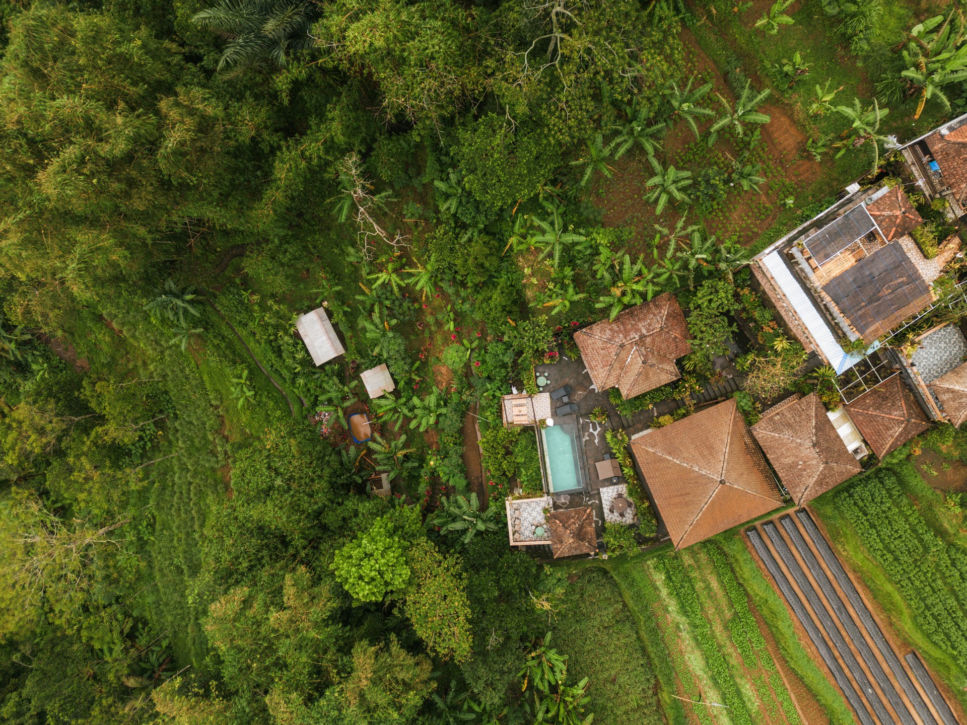 Aerial view of residential neighbourhood  growing near Ubud on Bali island